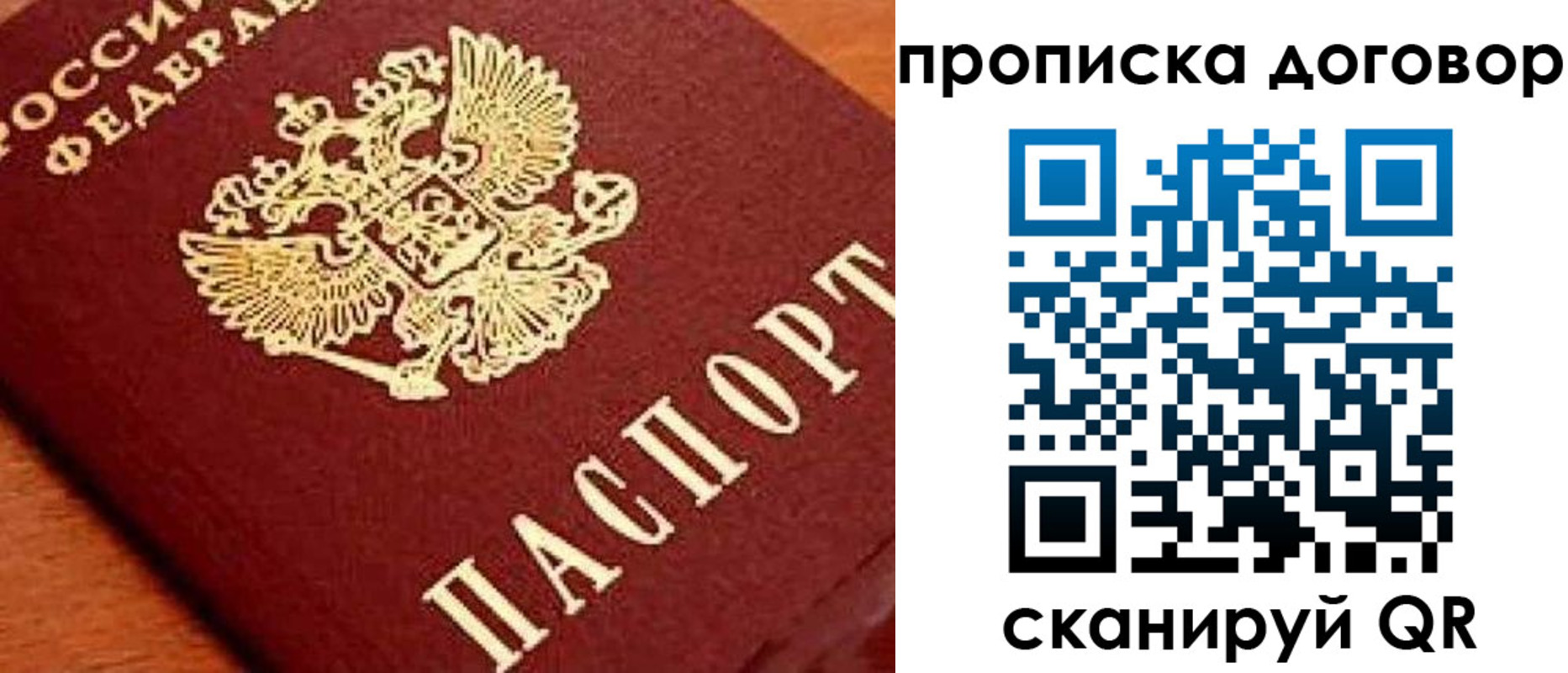 прописка поиск в Элисте